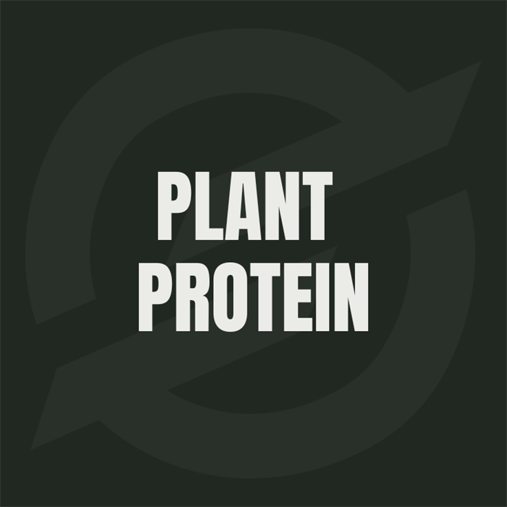 Plant Protein