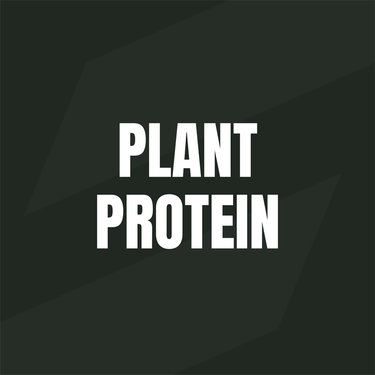 Plant Protein