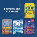 Applied Nutrition - Beef XP Variety Sample Pack - 8 Sachets Alternative Image