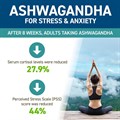 Applied Nutrition - Ashwagandha Ksm-66 - Unflavoured - 300MG Alternative Image