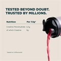 MyProtein - Impact Creatine Monohydrate (Sachet Pack) - Berry Burst - 7 x 7.5g Alternative Image