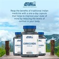 Applied Nutrition - Ashwagandha Ksm-66 - Unflavoured - 300MG Alternative Image