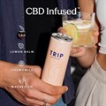 Trip - Mindful Blends - Raspberry Orange Blossom - 12 x 250ml Alternative Image