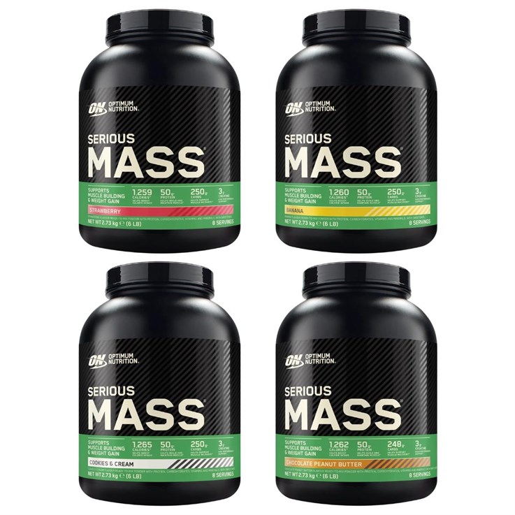 Optimum Nutrition - Mass Gainer Powder