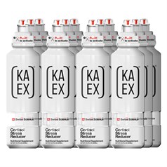 KA-EX - GO recharge+ - Lemon - 12 x 460ml
