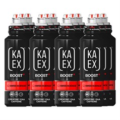 KA-EX - GO BOOST+ - Blueberry & Lime - 12 x 460ml